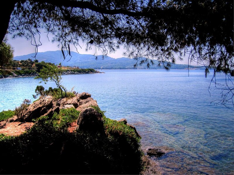 Coastal Bay with Mountains — Blue, Serene, Afternoon, Photograph, Trees