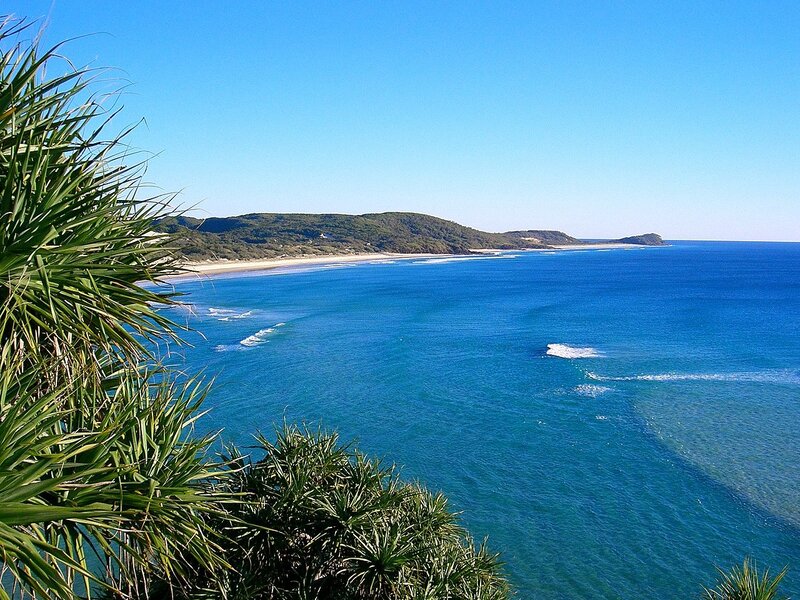 Coastal Bay with Palm Trees — Blue
