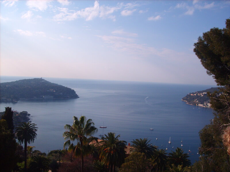 coastal bay with palm trees