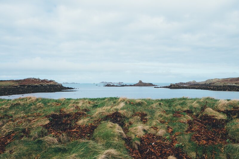 Coastal Bay with Rocks — Green