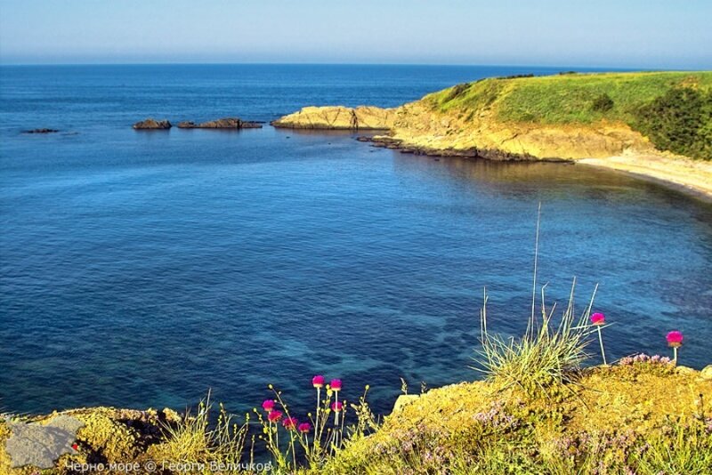 Coastal Bay with Rocks