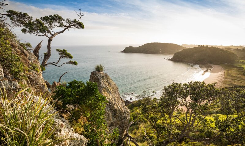 Coastal Bay with Rocky Cliffs — Green