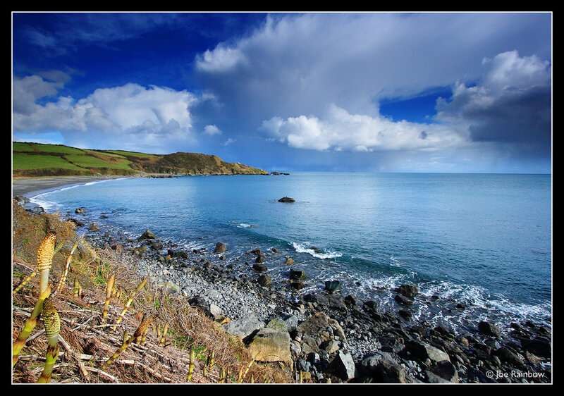 Coastal Bay with Rocky Shore — Blue