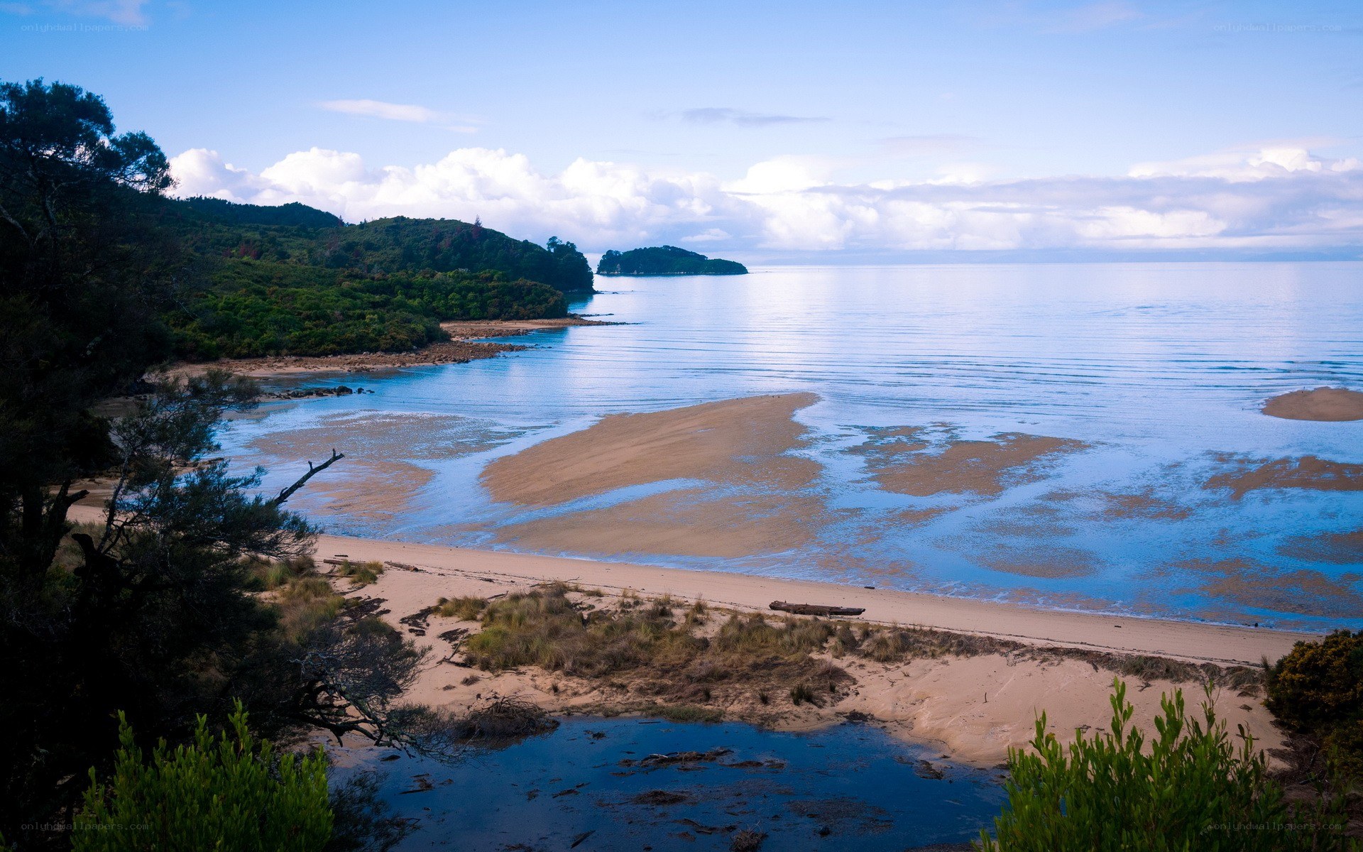 coastal bay with sandbars
