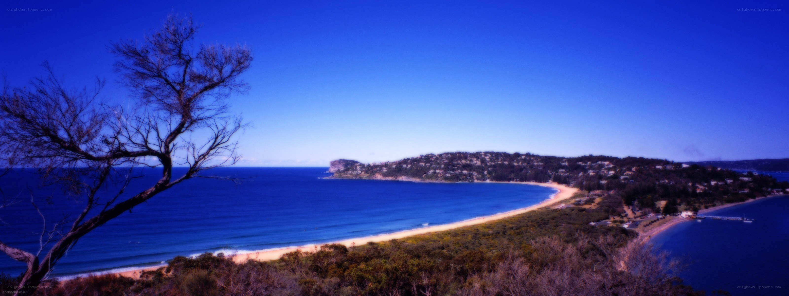 coastal bay with sandy beach