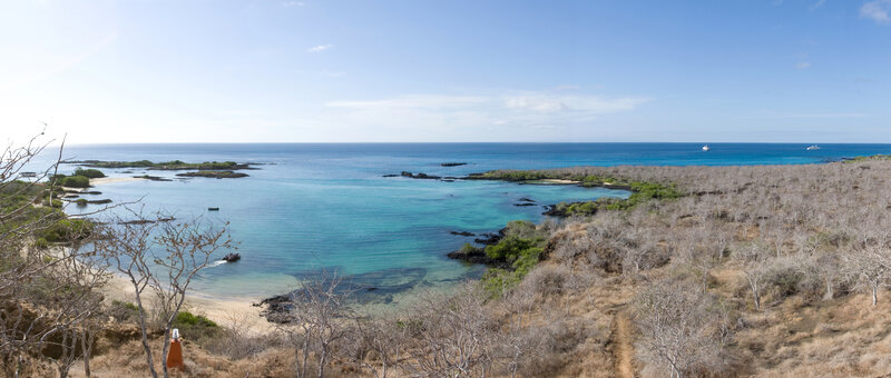 coastal bay with turquoise water