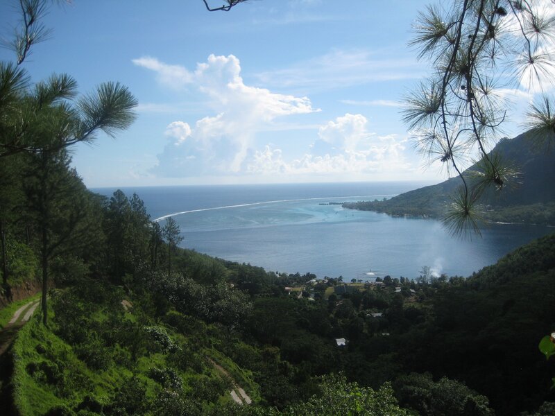 Coastal Bay with Village