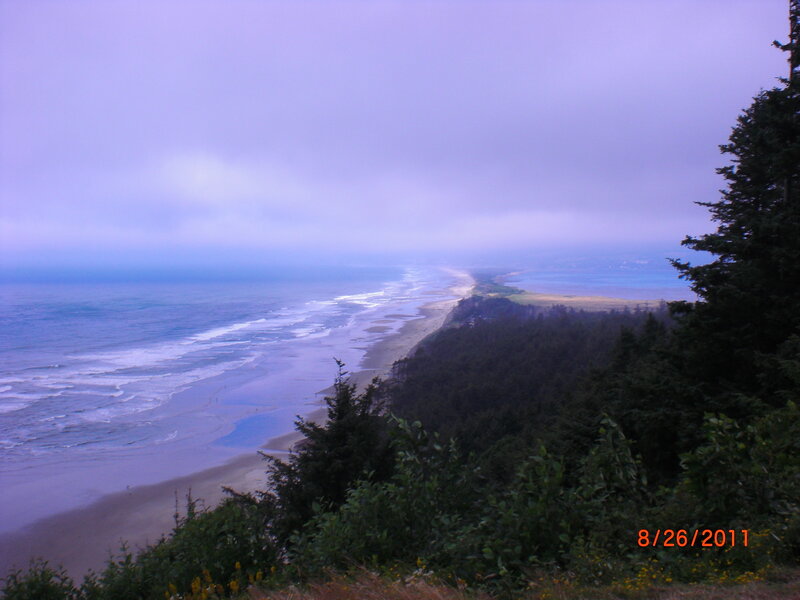 Coastal Beach and Forest