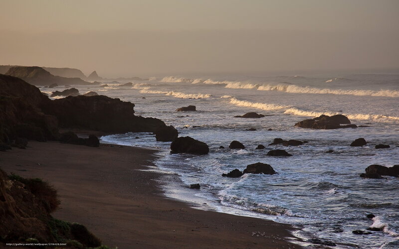 Coastal Beach at Dusk — Brown
