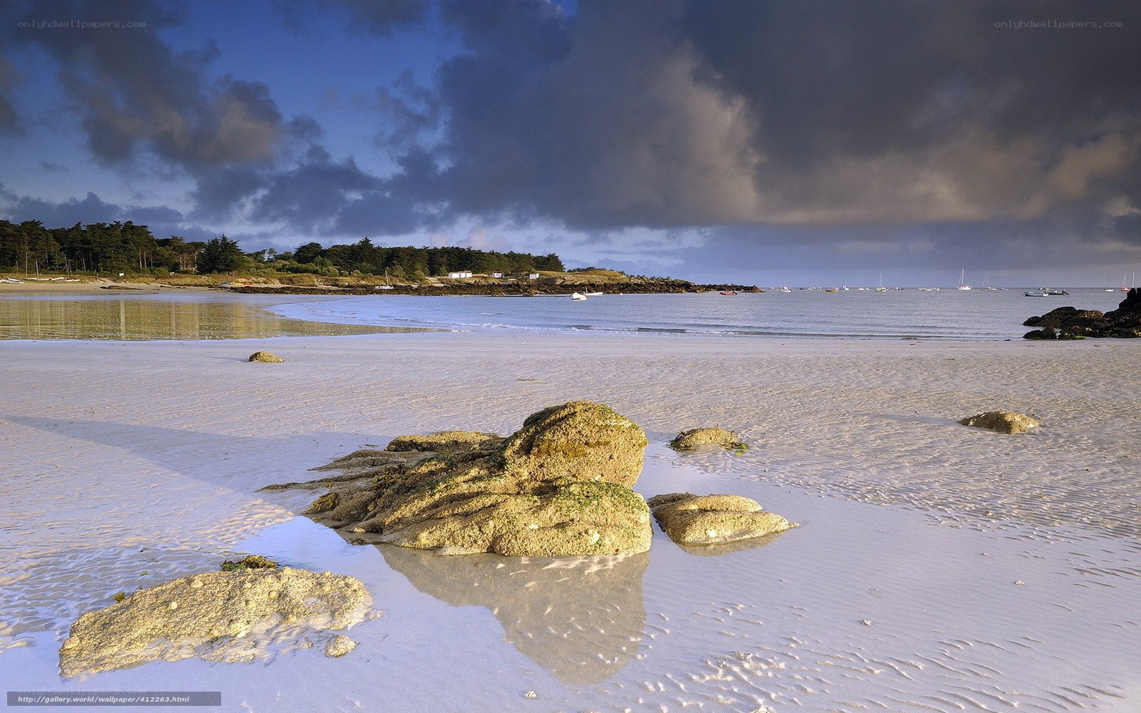 coastal beach at low tide