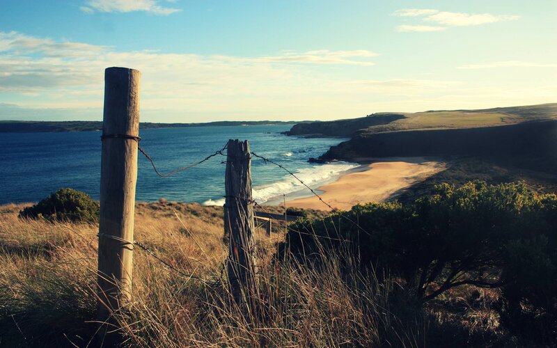 Coastal Beach View