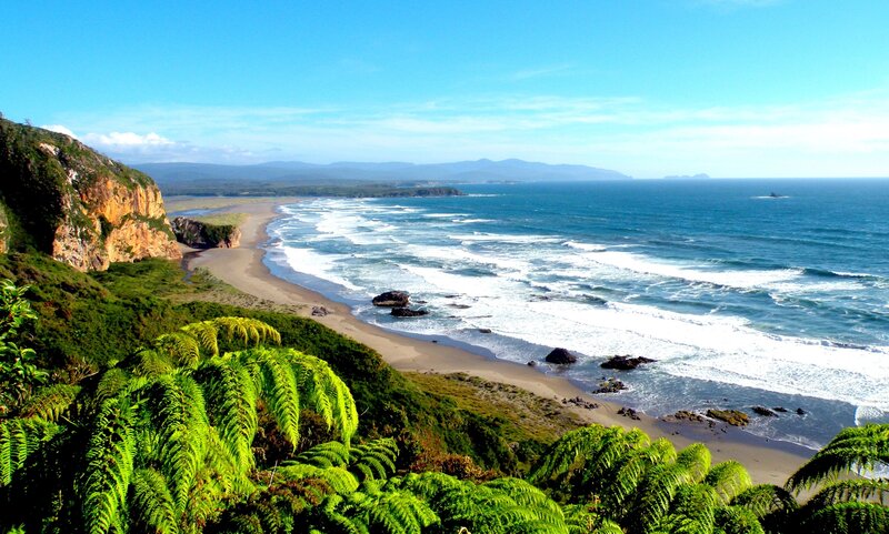 Coastal Beach with Cliffs — Green, Serene