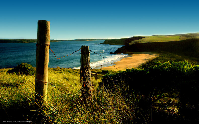 Coastal Beach with Fence