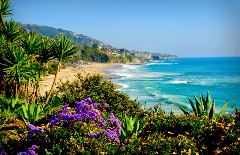 Coastal Beach with Flowers