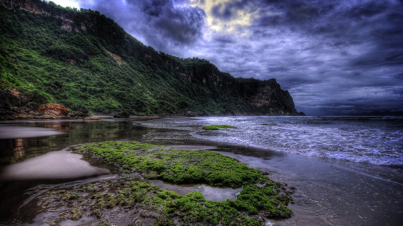Coastal Beach with Green Moss
