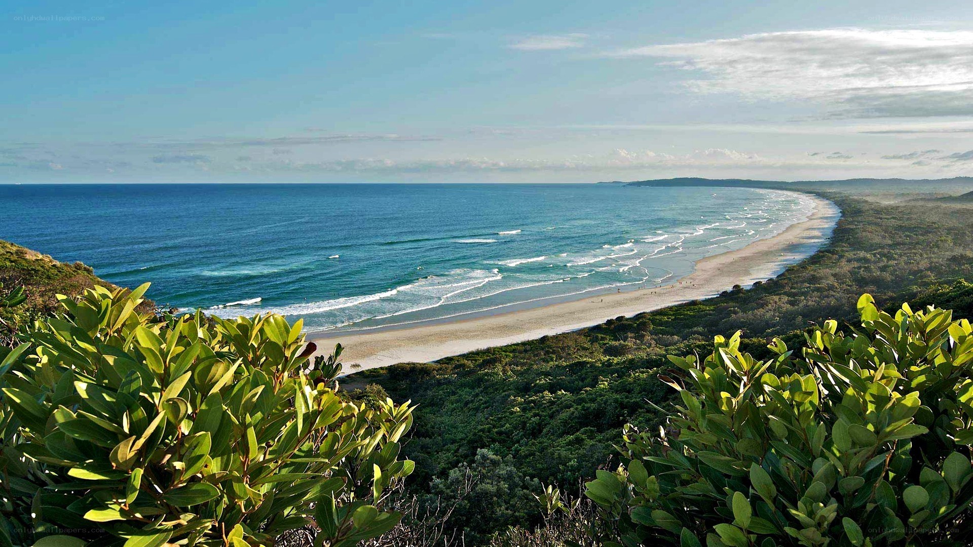 coastal beach with ocean view