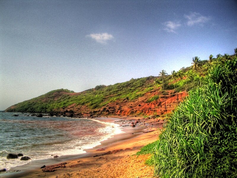 Coastal Beach with Palm Trees