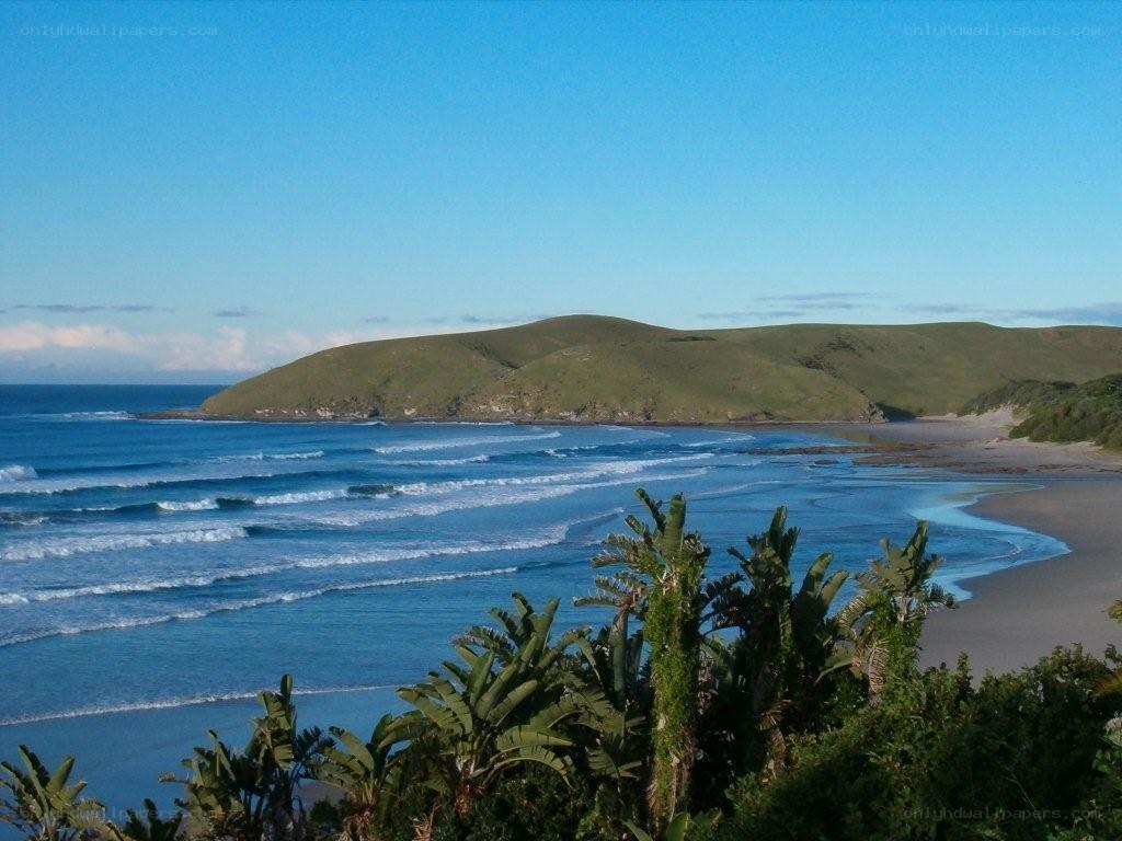 coastal beach with rolling waves