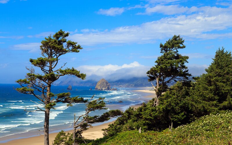 Coastal Beach with Sea Stacks — Blue, Serene, Afternoon, Photograph, Trees