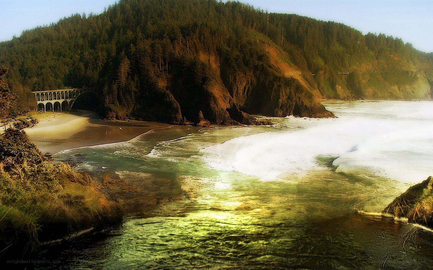 coastal bridge and forested cliffs