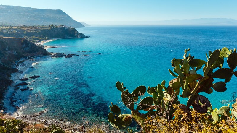 Coastal Cactus Landscape — Blue