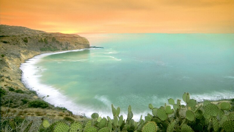 Coastal Cactus Landscape — Orange