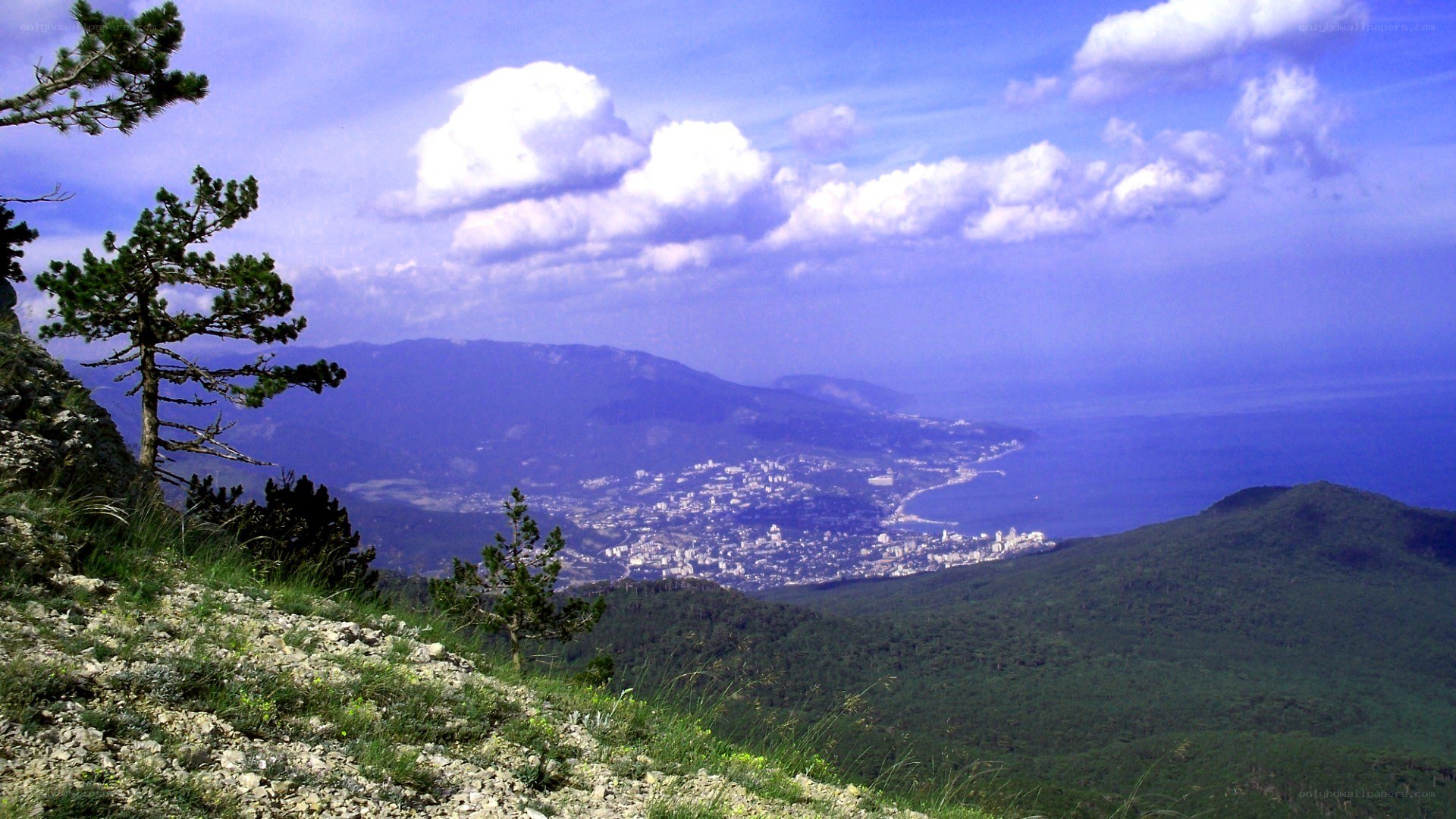 coastal city from mountain view