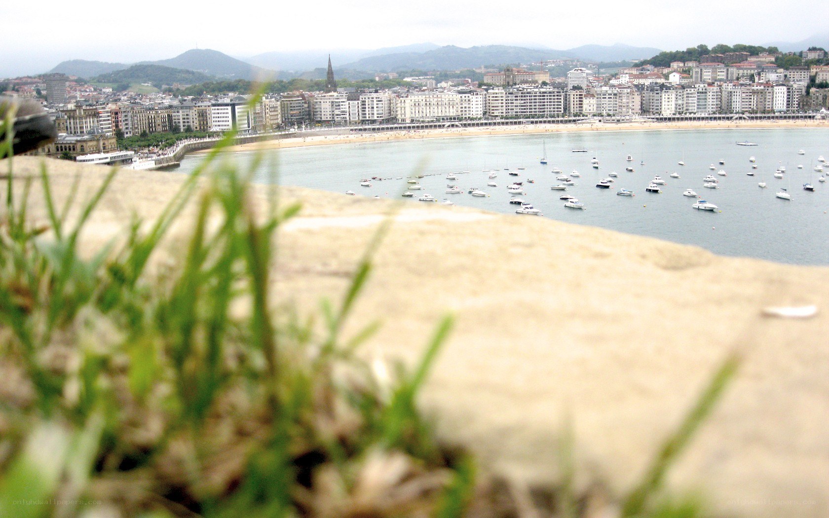 coastal city view from above