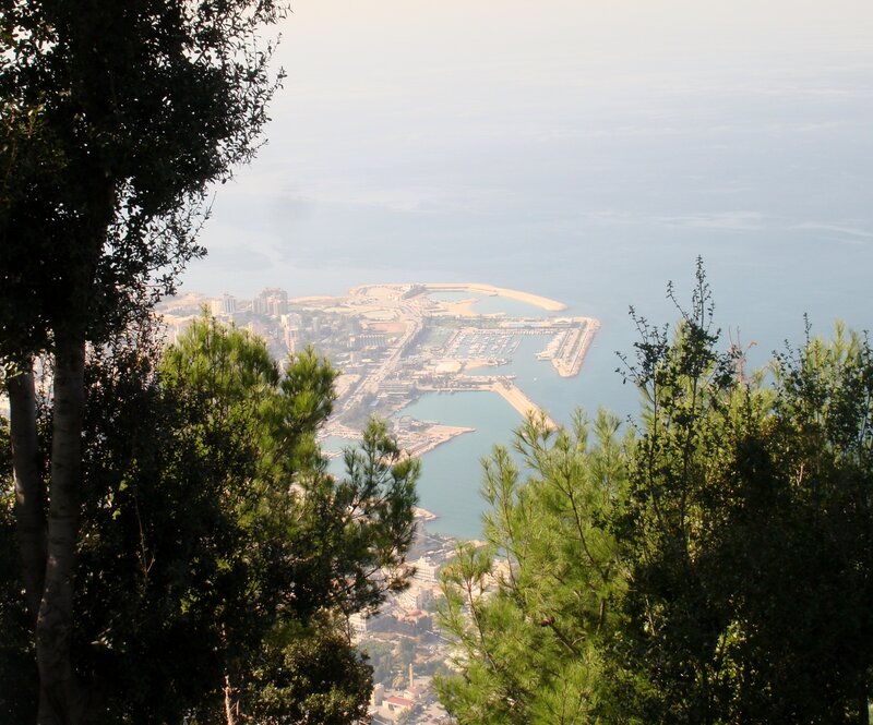 Coastal City View — Green