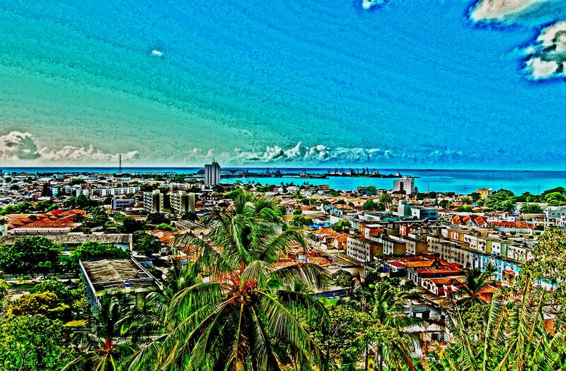 coastal city with palm trees