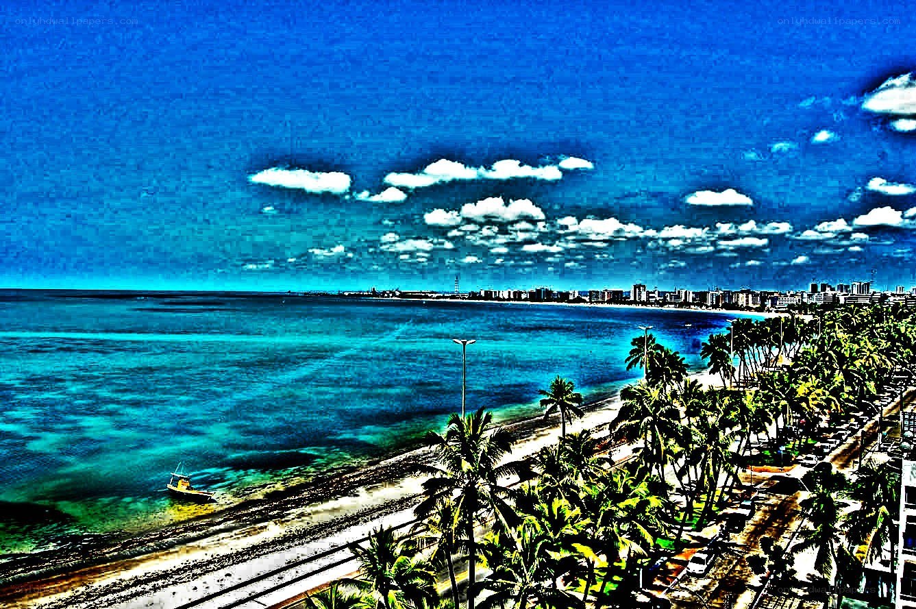 coastal city with palm trees