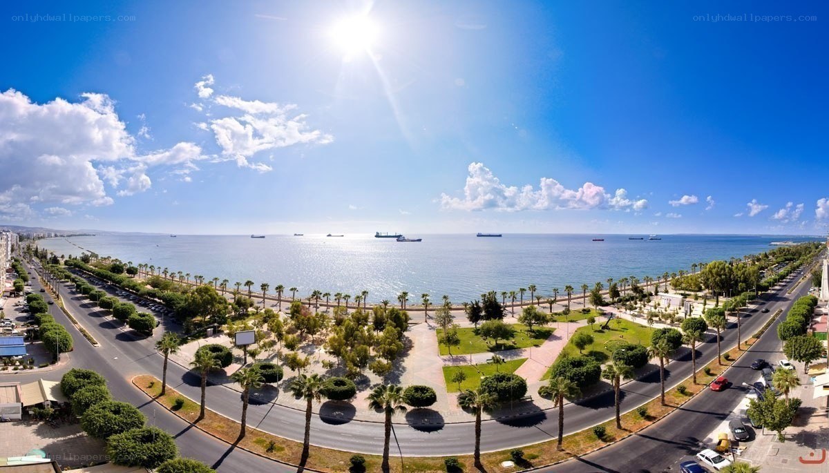 Coastal city with palm trees