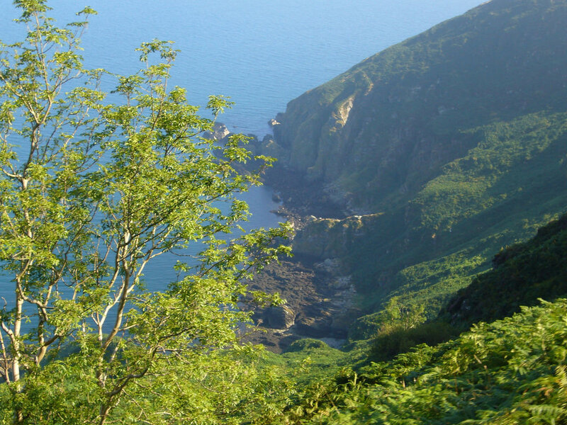 Coastal Cliff and Sea
