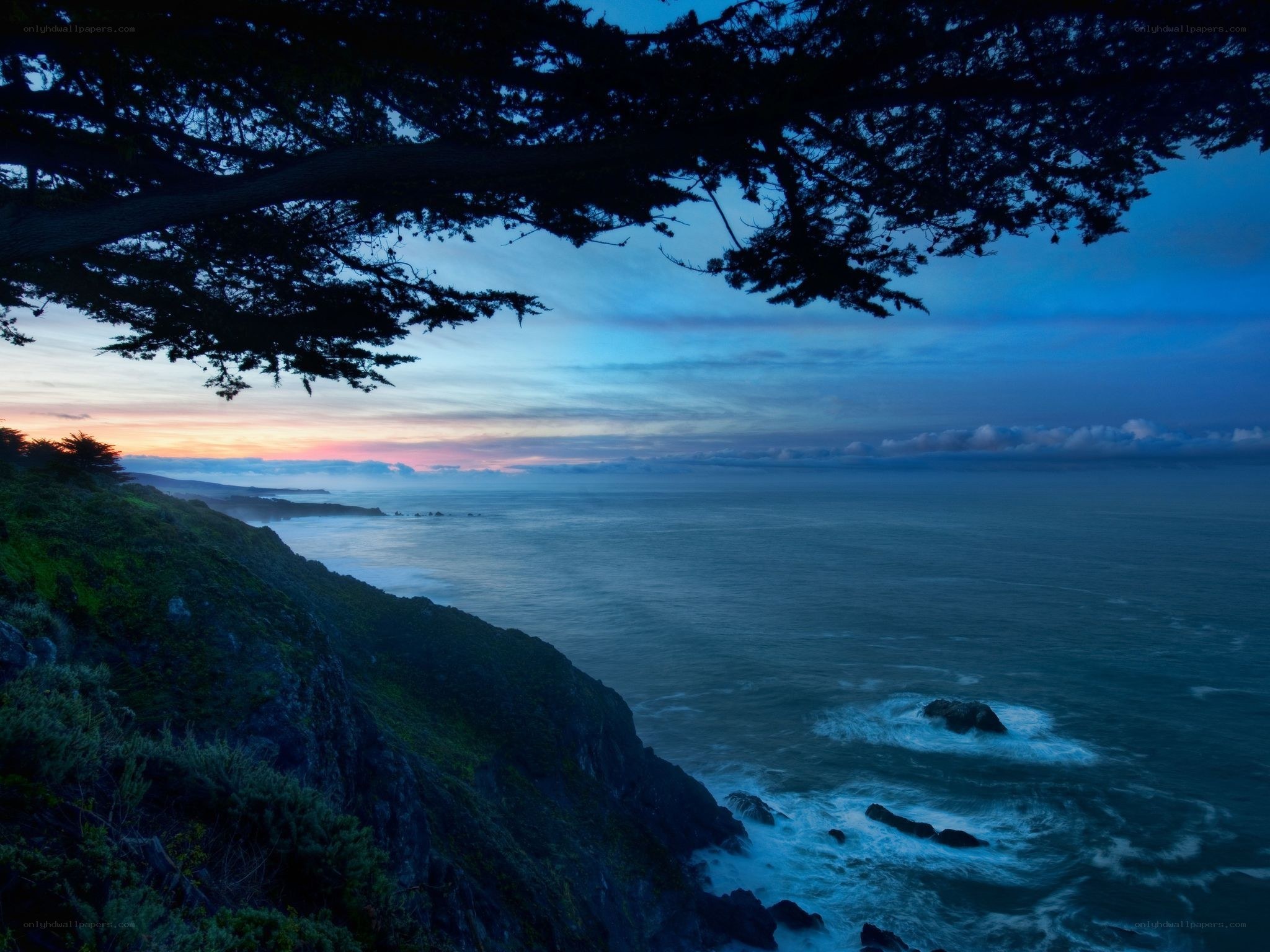 Coastal cliff at twilight