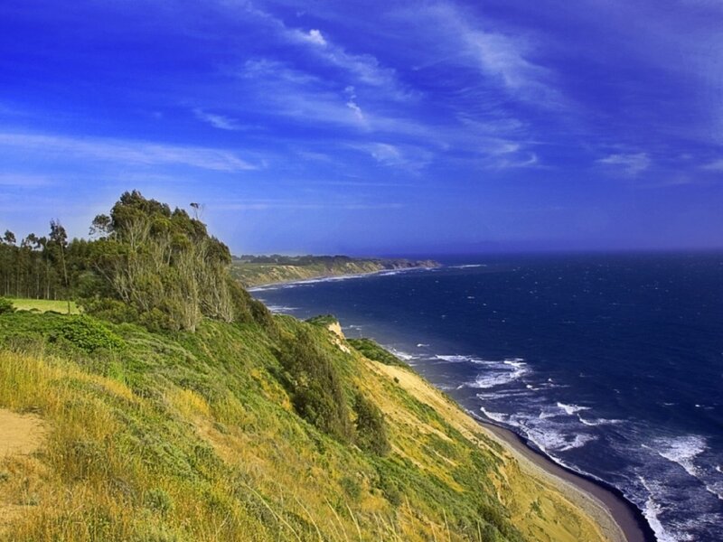 Coastal Cliff Landscape — Blue, Serene, Afternoon, Photograph, Ocean, Trees