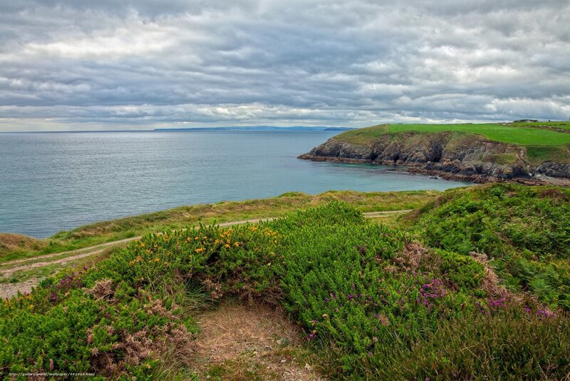 Coastal Cliff Landscape — Green, Dramatic