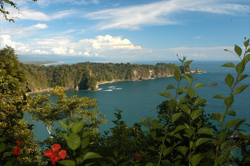 Coastal Cliff Landscape — Green, Serene