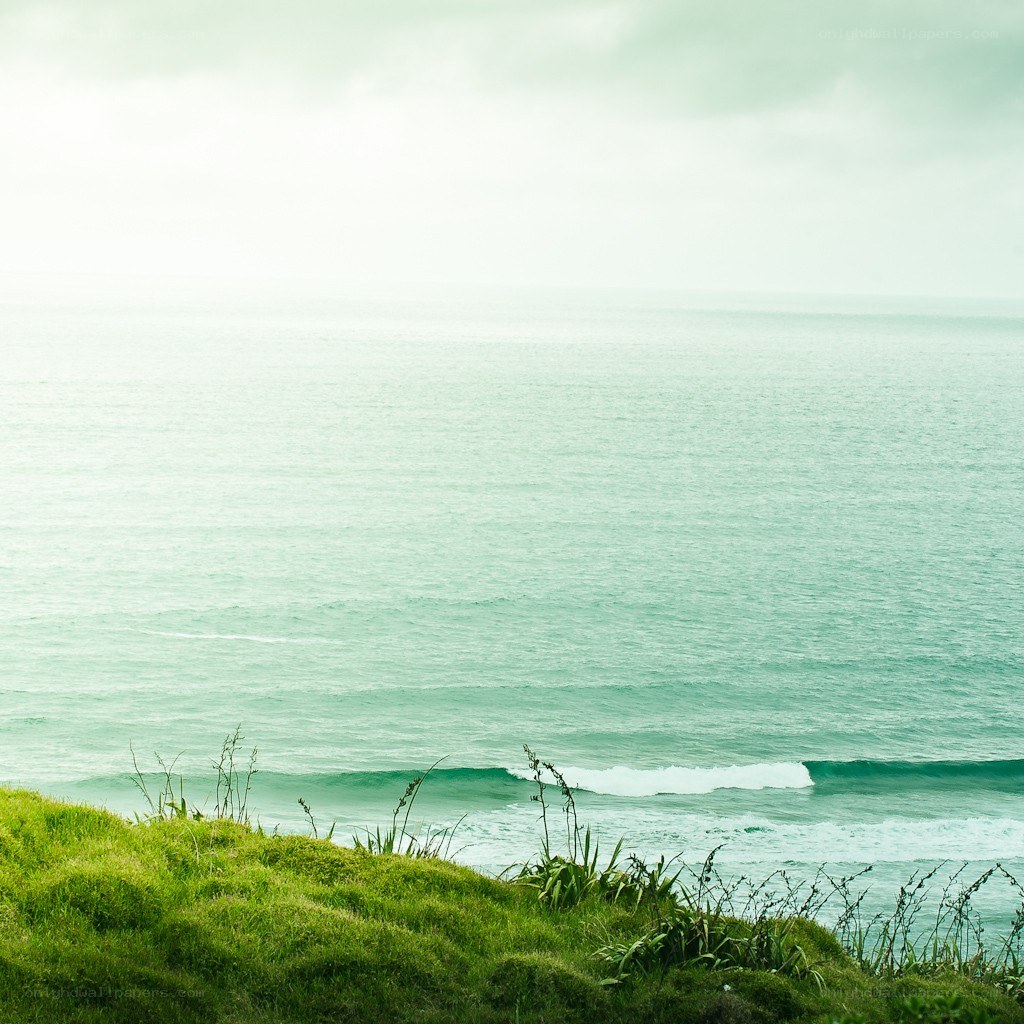 coastal cliff overlooking the ocean