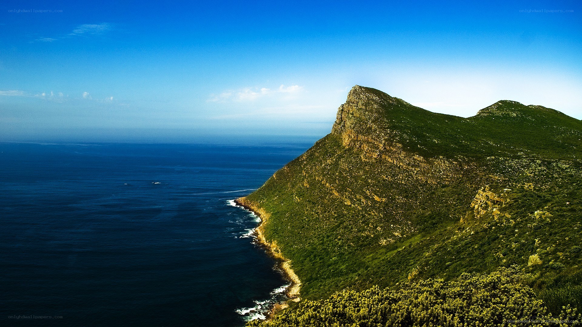 coastal cliff overlooking the ocean