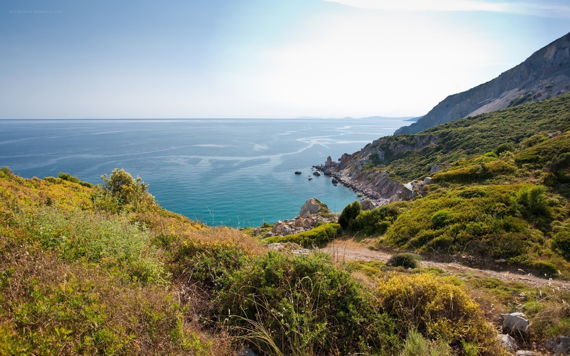 Coastal cliff overlooking the sea