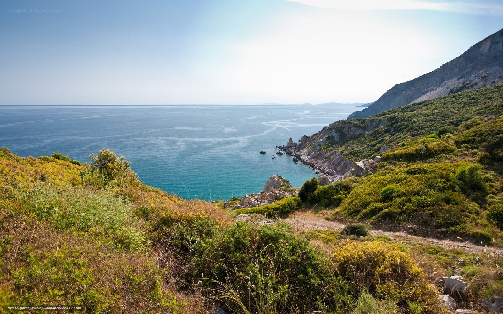 Coastal cliff overlooking the sea
