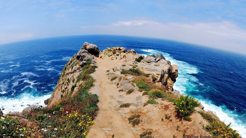 Coastal Cliff Path — Blue