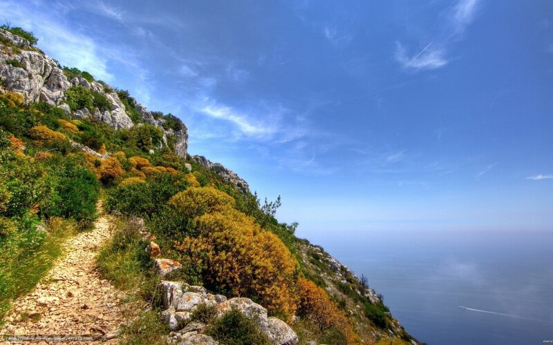 Coastal cliff path with sea view