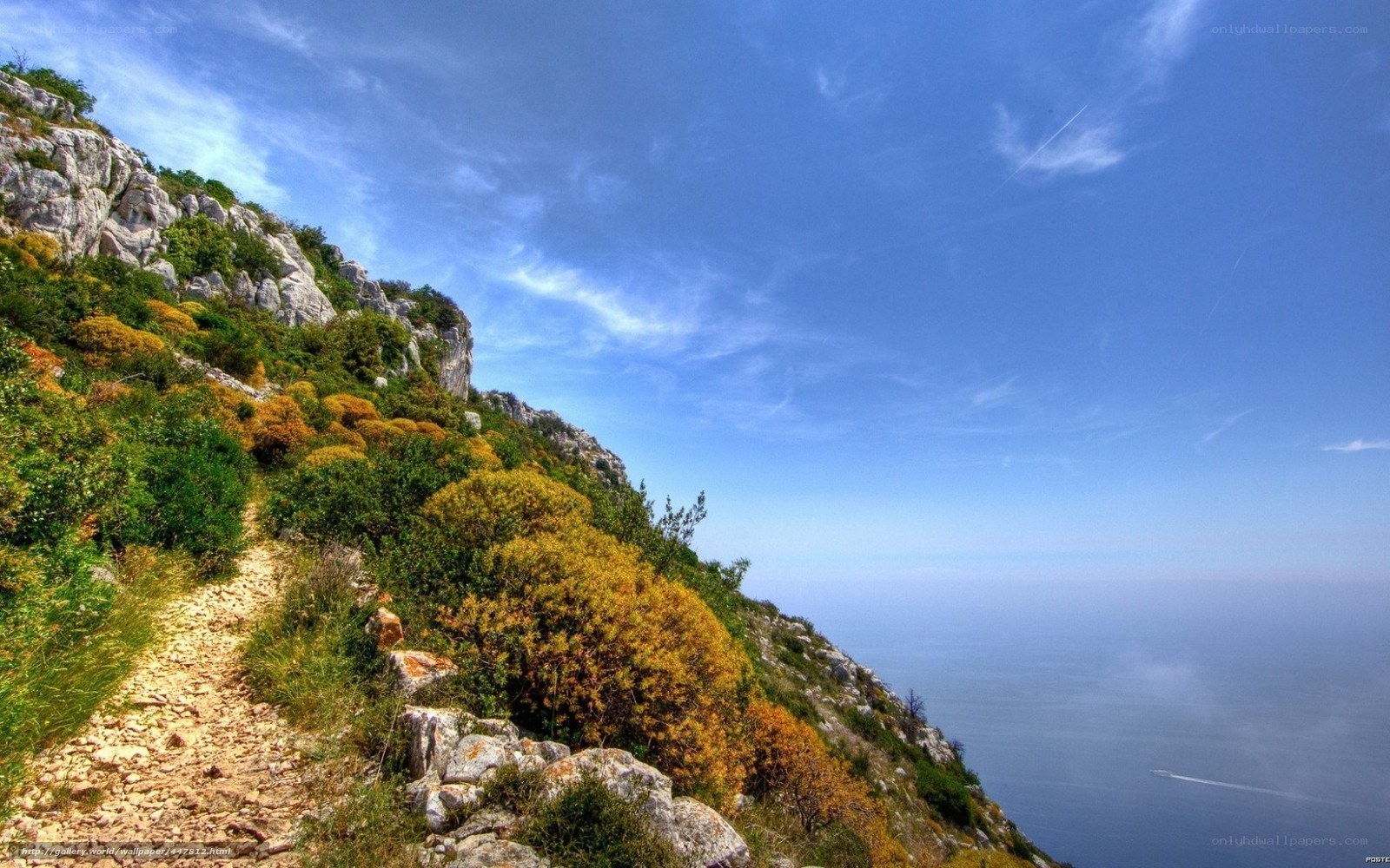 Coastal cliff path with sea view