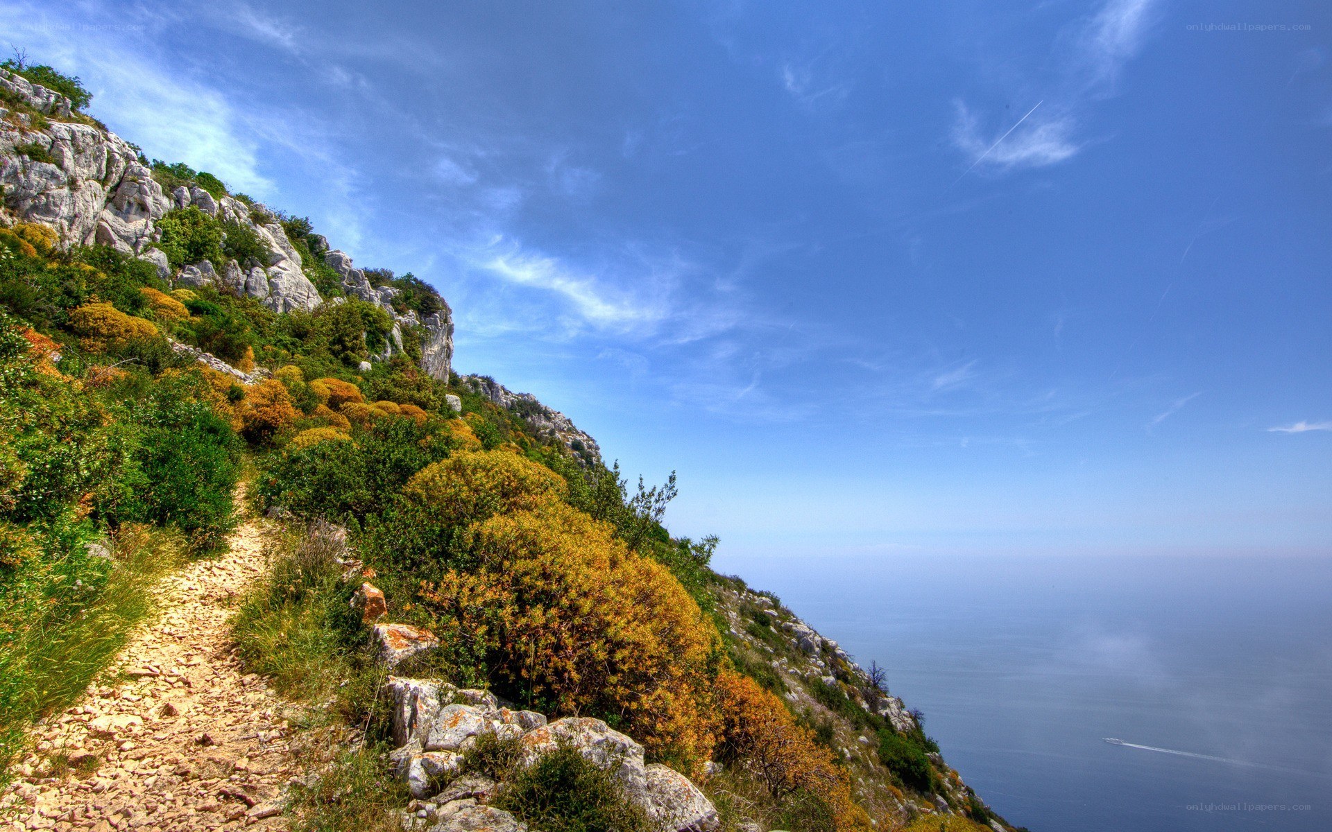 Coastal cliff trail with sea view