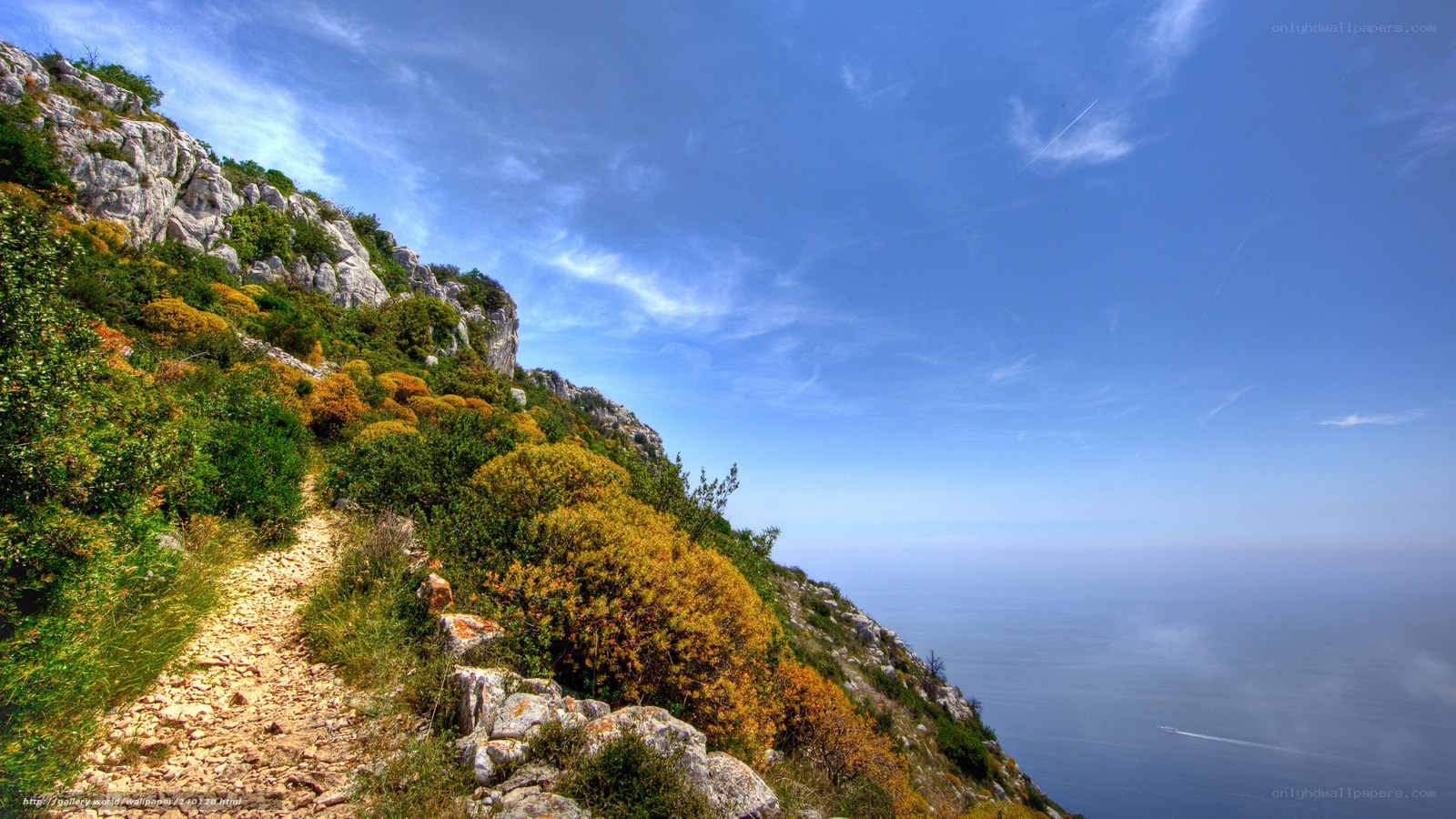 Coastal cliff trail with sea view
