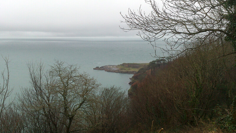 Coastal Cliff View — Gray
