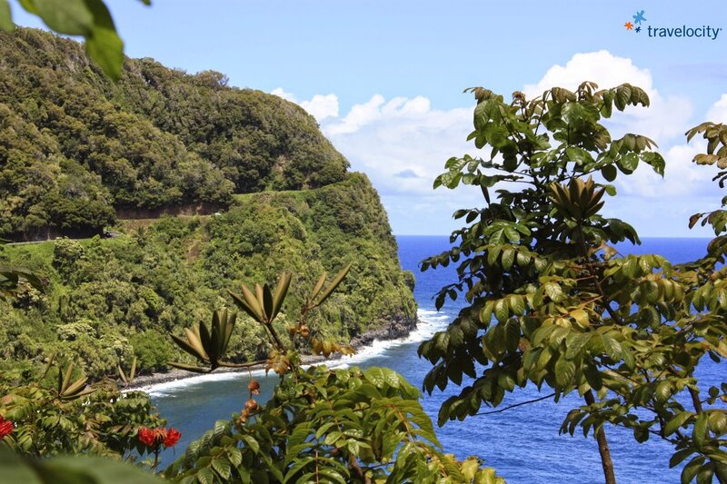 Coastal Cliff View — Green, Serene, Afternoon