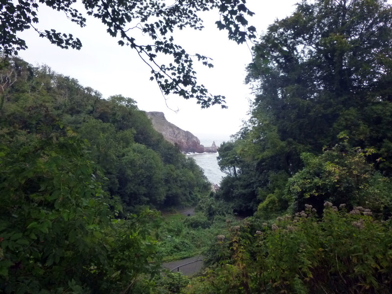 Coastal Cliff View — Green, Serene