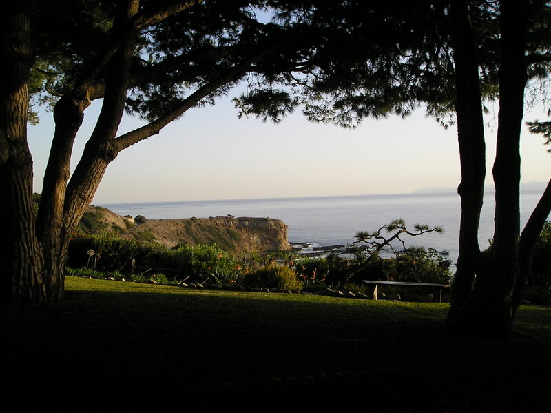 Coastal Cliff View — Green